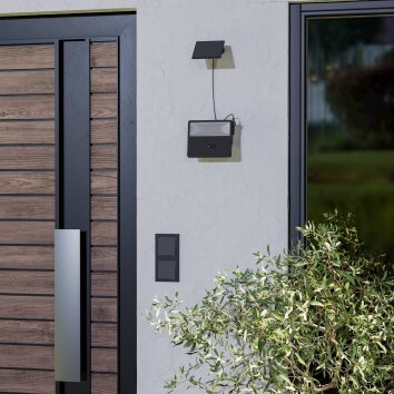 Oświetlenie Eglo PANETTIERI Lampa solarna LED Czarny, 1-punktowy, Czujnik ruchu Oświetlenie Eglo PANETTIERI Lampa solarna LED Czarny, 1-punktowy, Czujnik ruchu