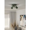 Oświetlenie Eglo TILSTON Lampa sufitowa, Spot sufitowy Zielony, 3-punktowe