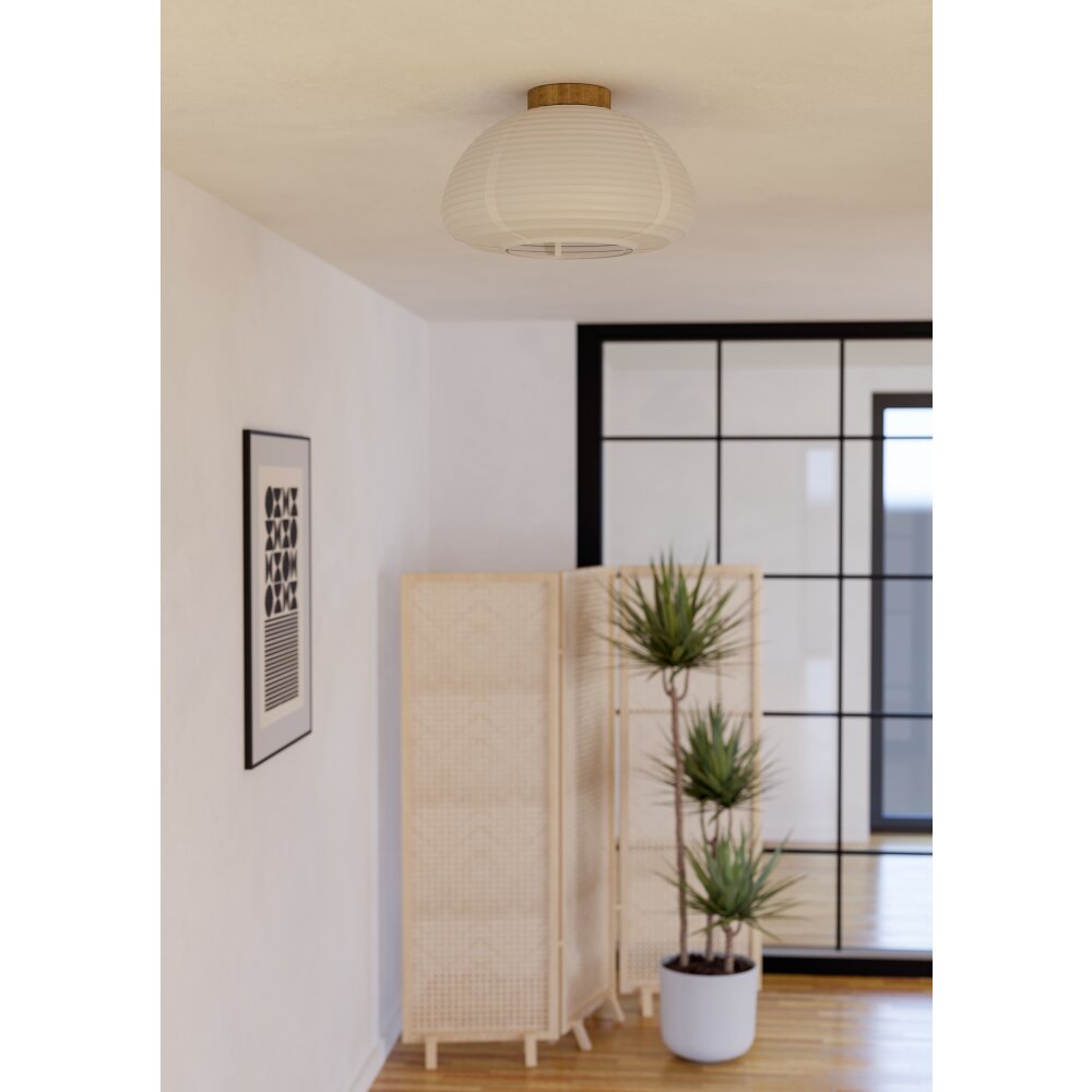 Oświetlenie Eglo SUMMERHILL Lampa sufitowa Brązowy, 1-punktowy main product photo