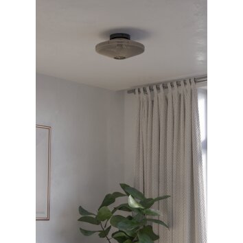 Oświetlenie Eglo MIDSUMER Lampa sufitowa Czarny, 1-punktowy
