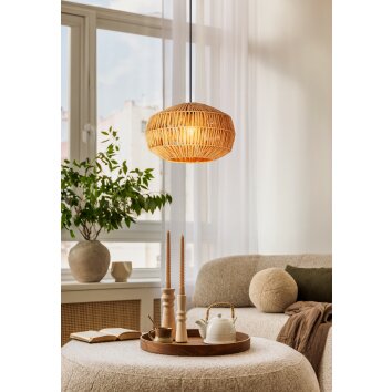 Oświetlenie Eglo SHELDON Lampa wisząca Czarny, 1-punktowy