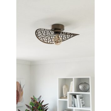 Oświetlenie Eglo SWABY Lampa sufitowa Brązowy, 1-punktowy