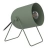 Oświetlenie Eglo TILSTON Lampa stołowa Zielony, 1-punktowy