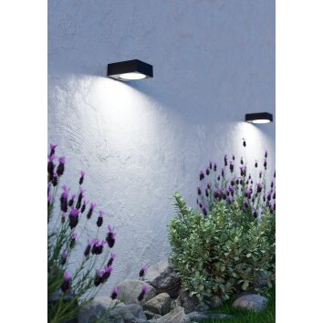 Oświetlenie Eglo DARFANO Lampa solarna LED Czarny, Czujnik ruchu Oświetlenie Eglo DARFANO Lampa solarna LED Czarny, Czujnik ruchu