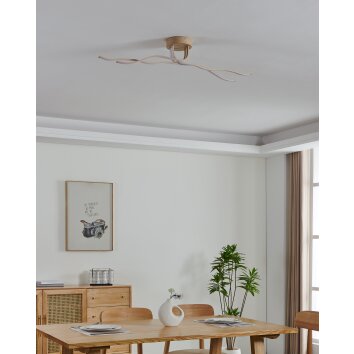 Oświetlenie Eglo EGLO lampa sufitowa, lampa ścienno-sufitowa LED jasnobrązowy