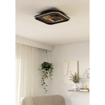 Oświetlenie Eglo TIRIOLO lampa sufitowa, lampa ścienno-sufitowa LED złoty, czarny