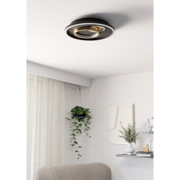 Oświetlenie Eglo TIRIOLO Lampa sufitowa, Oświetlenie ścienne i sufitowe LED Złoty, Czarny
