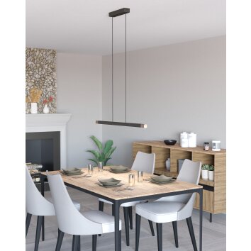 Oświetlenie Eglo LISCIANA Lampa wisząca LED Szary Oświetlenie Eglo LISCIANA Lampa wisząca LED Szary