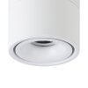 Oświetlenie Eglo BOHOYO Lampa sufitowa, Spot sufitowy LED Biały
