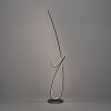 Oświetlenie Eglo CARDONCITO Lampa stojąca LED Czarny, Zmieniacz kolorów
