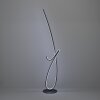 Oświetlenie Eglo CARDONCITO Lampa stojąca LED Czarny, Zmieniacz kolorów