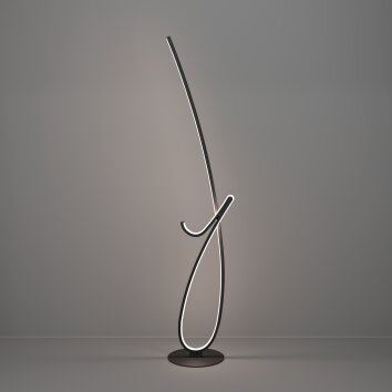 Oświetlenie Eglo CARDONCITO Lampa stojąca LED Czarny, Zmieniacz kolorów