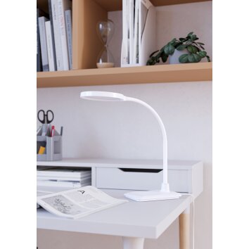 Oświetlenie Eglo LAURO Lampa stołowa LED Biały