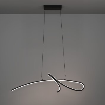 Oświetlenie Eglo CARDONCITO Lampa wisząca LED Czarny, Zmieniacz kolorów