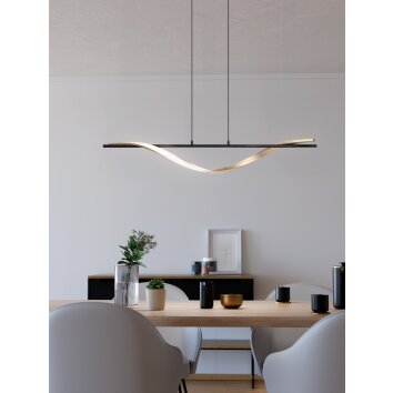 Oświetlenie Eglo CONAPRATO Lampa wisząca LED Mosiądz, Czarny