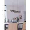 Oświetlenie Eglo BOYAL Lampa wisząca LED Brązowy, Czarny