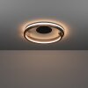 Oświetlenie Eglo MEZZOMONTE Lampa sufitowa LED Brązowy, Czarny, Zdalne sterowanie