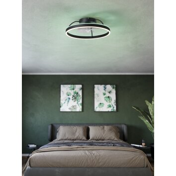 Oświetlenie Eglo mit lampa z wentylatorem LED Czarny, Zdalne sterowanie, Zmieniacz kolorów