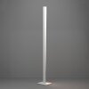 Oświetlenie Eglo BOLOGNANO-Z Lampa stojąca LED Szary, Zmieniacz kolorów