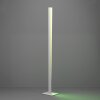 Oświetlenie Eglo BOLOGNANO-Z Lampa stojąca LED Szary, Zmieniacz kolorów