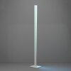 Oświetlenie Eglo BOLOGNANO-Z Lampa stojąca LED Szary, Zmieniacz kolorów