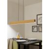 Oświetlenie Eglo ANCHORENA-Z Lampa wisząca LED Brązowy, Czarny, Zmieniacz kolorów