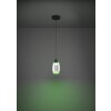 Oświetlenie Eglo MOLOCHIO-Z Lampa wisząca LED Czarny, Zmieniacz kolorów