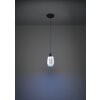 Oświetlenie Eglo MOLOCHIO-Z Lampa wisząca LED Czarny, Zmieniacz kolorów