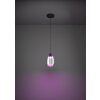 Oświetlenie Eglo MOLOCHIO-Z Lampa wisząca LED Czarny, Zmieniacz kolorów
