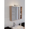 Oświetlenie Eglo REGELLO-Z Lampa oświetlająca lustro LED Czarny, Zmieniacz kolorów