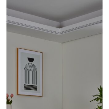 Oświetlenie Eglo NEON-STRIPE-Z Paski LED LED Biały, Zmieniacz kolorów