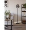 Oświetlenie Eglo ALFERO-Z Lampa stojąca LED Czarny, Zmieniacz kolorów