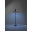 Oświetlenie Eglo ALFERO-Z Lampa stojąca LED Czarny, Zmieniacz kolorów