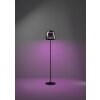 Oświetlenie Eglo ALFERO-Z Lampa stojąca LED Czarny, Zmieniacz kolorów