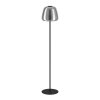 Oświetlenie Eglo ALFERO-Z Lampa stojąca LED Czarny, Zmieniacz kolorów