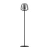 Oświetlenie Eglo ALFERO-Z Lampa stojąca LED Czarny, Zmieniacz kolorów