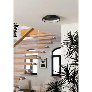 Oświetlenie Eglo LORETELLO-Z Lampa sufitowa LED Czarny, Zmieniacz kolorów