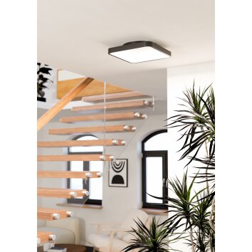 Oświetlenie Eglo LORETELLO-Z Lampa sufitowa LED Czarny, Zmieniacz kolorów