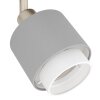 Oświetlenie Eglo BELLIZZI Lampa sufitowa, Spot sufitowy Nikiel matowy