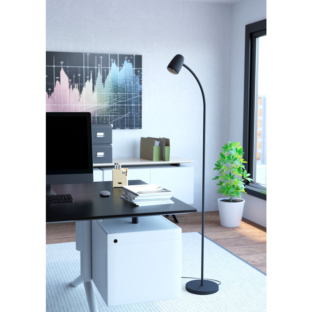 Oświetlenie Eglo CARLO Lampa stojąca Czarny main product photo