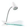 Oświetlenie Eglo EGLO Lampa zaciskowa LED Chrom, Biały