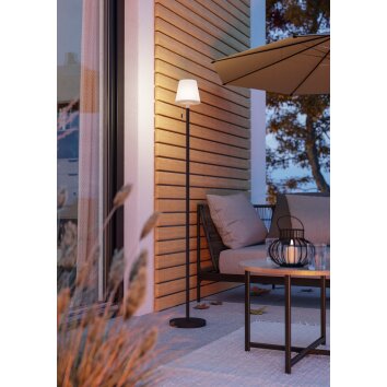 Oświetlenie Eglo MONTAPALMA-L Lampa stojąca LED Czarny, Zdalne sterowanie, Zmieniacz kolorów Oświetlenie Eglo MONTAPALMA-L Lampa stojąca LED Czarny, Zdalne sterowanie, Zmieniacz kolorów