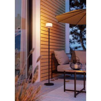 Oświetlenie Eglo MONTAPALMA-L Lampa stojąca LED Czarny, Zdalne sterowanie, Zmieniacz kolorów Oświetlenie Eglo MONTAPALMA-L Lampa stojąca LED Czarny, Zdalne sterowanie, Zmieniacz kolorów