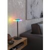 Oświetlenie Eglo TREPELLA Lampa stołowa LED Czarny, Zdalne sterowanie, Zmieniacz kolorów