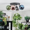 Chehalis lampa sufitowa, kula świetlna niebeieski, chrom, zielony, miedziany, przydymiony, 4-punktowe