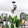 Chehalis lampa sufitowa, kula świetlna 27 cm niebeieski, chrom, zielony, przezroczysty, miedziany, przydymiony, 4-punktowe