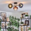 Koyoto lampa sufitowa, kula świetlna złoty, czarny, 3-punktowe