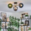 Gastor lampa sufitowa, kula świetlna złoty, czarny, 3-punktowe