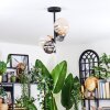 Chehalis lampa sufitowa, kula świetlna 33 cm bursztynowy, przezroczysty, przydymiony, 4-punktowe