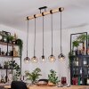 Ripoll lampa wisząca, kula świetlna, lampa wisząca kolory naturalne, czarny, 5-punktowe